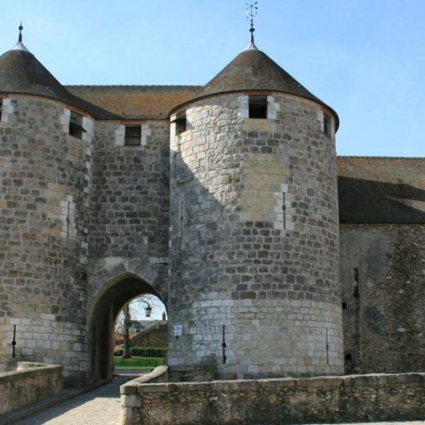 Château de Dourdan